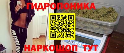 крисы Мариинск