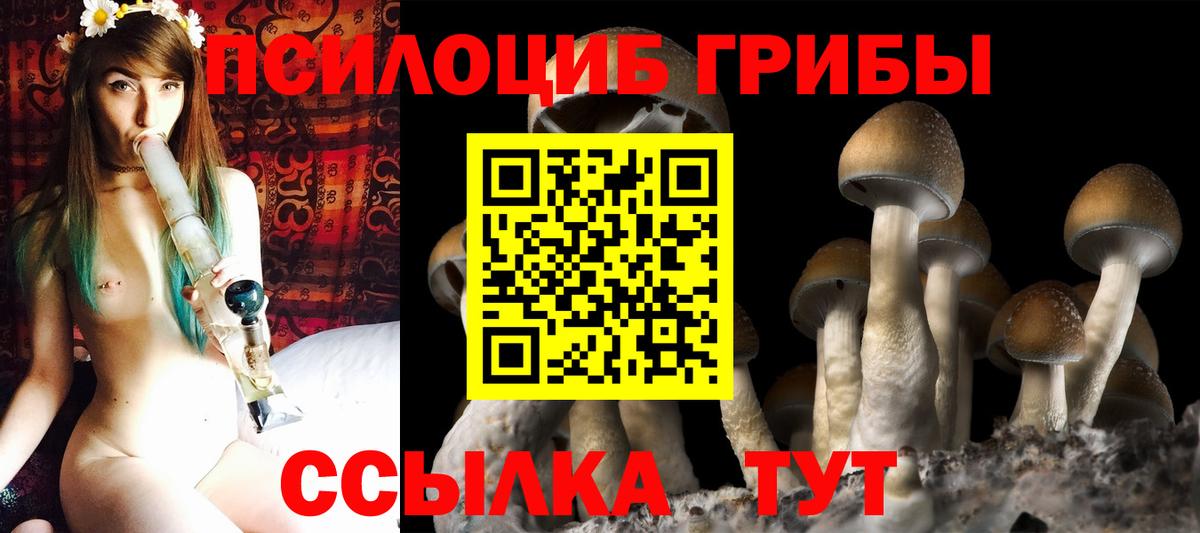 Тобольск  Псилоцибиновые грибы мицелий  дарнет шоп  Псилоцибиновые грибы Psilocybe  Вход с VPN 